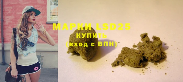 стафф Алексин