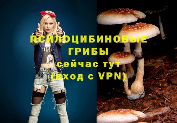 твердый Абдулино