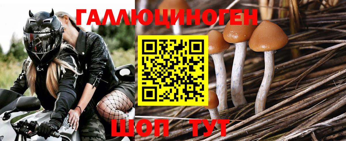 Усинск  Галлюциногенные грибы мухоморы  Вход с VPN 